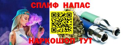 стафф Дубна