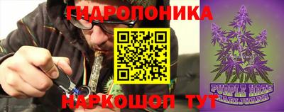 прущие грибы Донецк