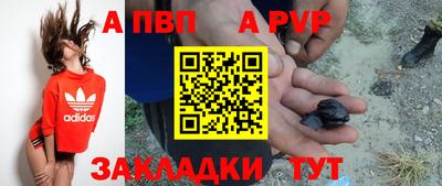 стафф Дубна