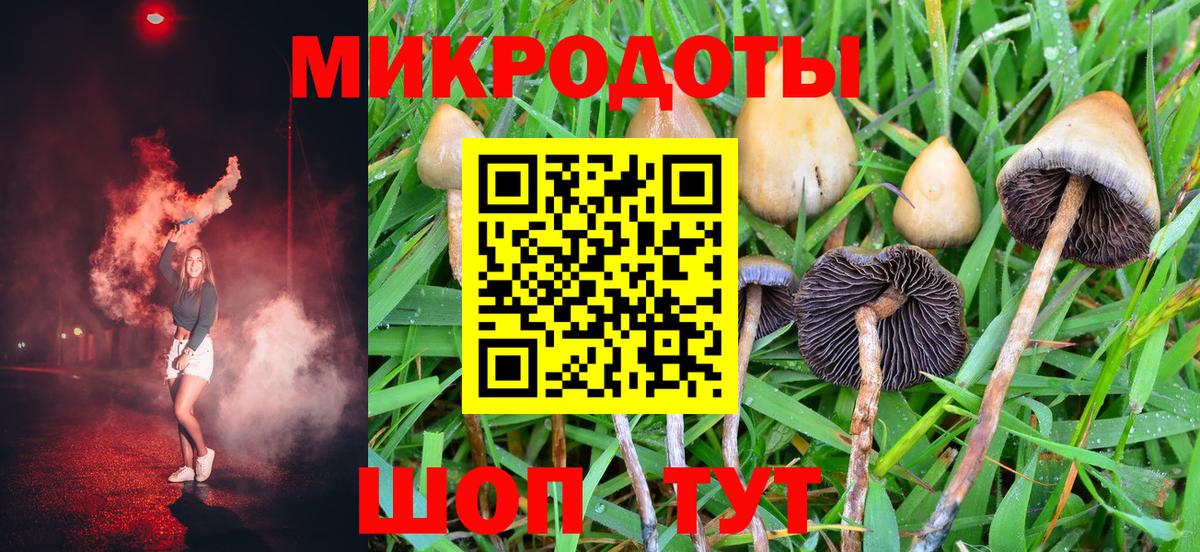 Псилоцибиновые грибы прущие грибы Муром