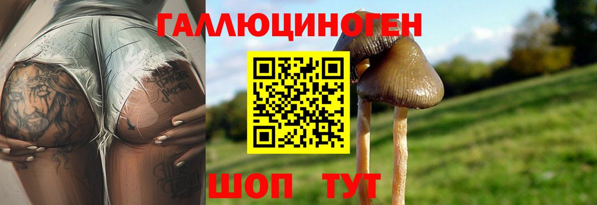 Муром  Галлюциногенные грибы Magic Shrooms  Вход с VPN 